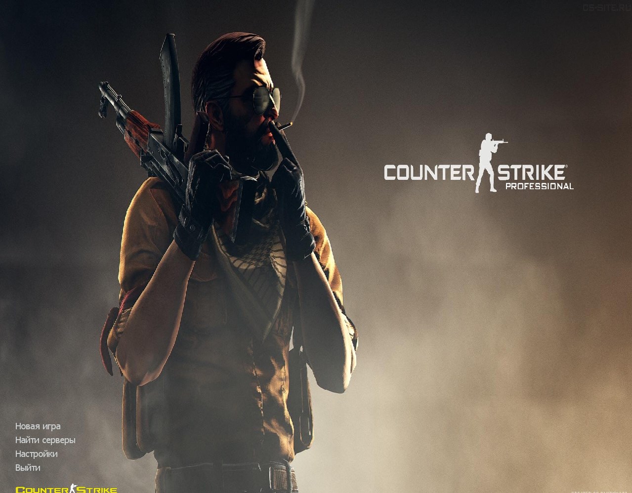 CS 1.6 Professional - КС 1.6 профессиональная